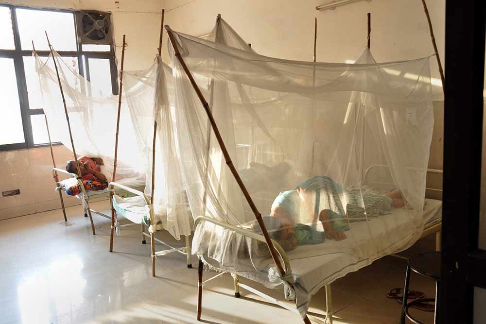 Malaria deaths in Meghalaya drop from 40 in 2015 to 3 in 2021 Officials