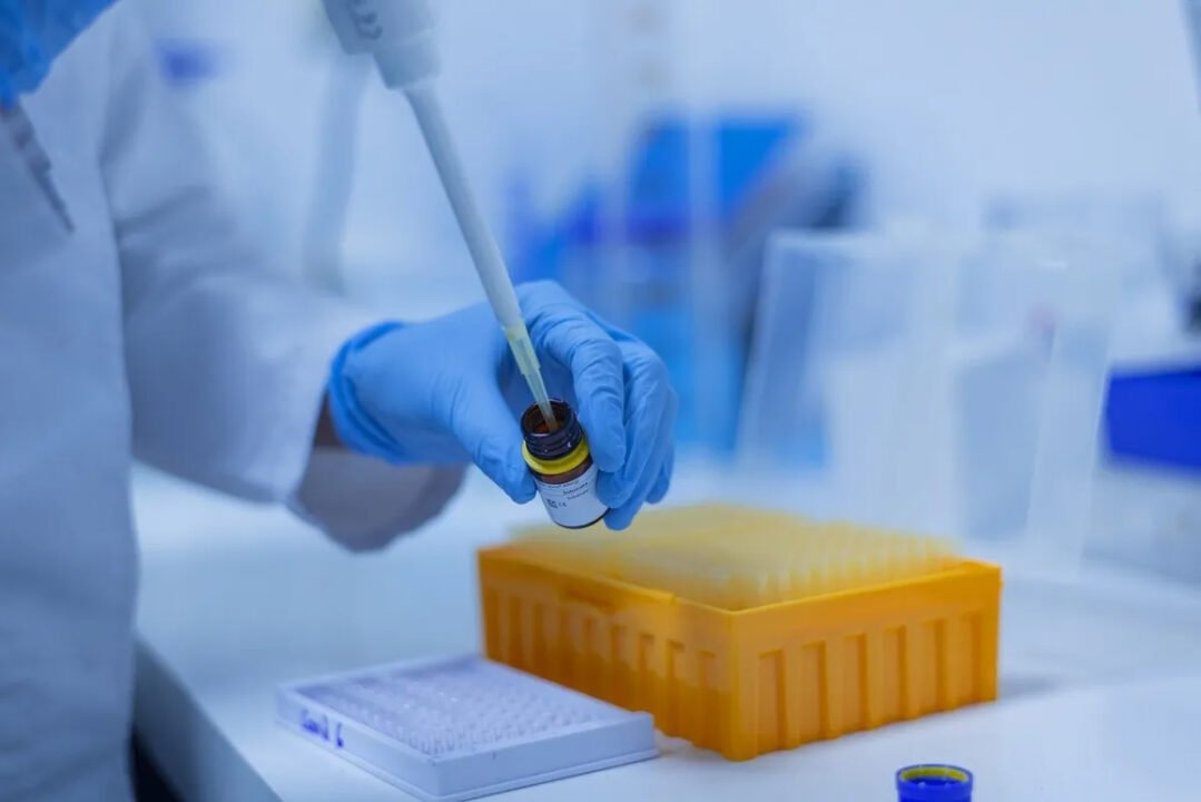 Mizoram Logs 33 Fresh Coronavirus Cases Mizoram logs 33 fresh Coronavirus cases