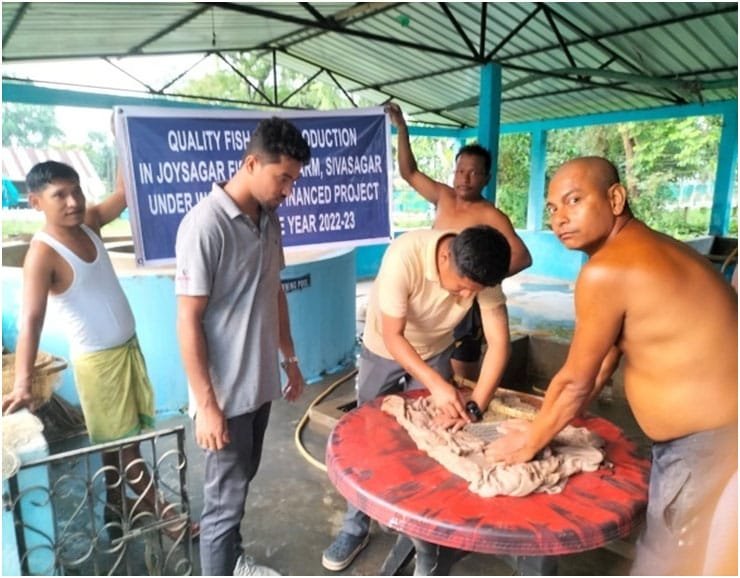 APART for quality fish seed production at Jaysagar