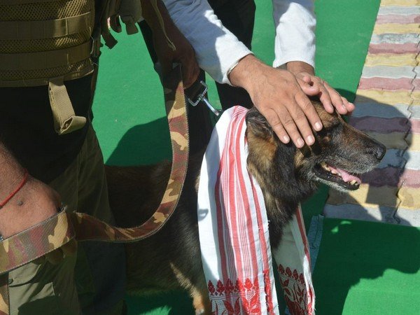 K9 dog squad tracking down poachers in Assam