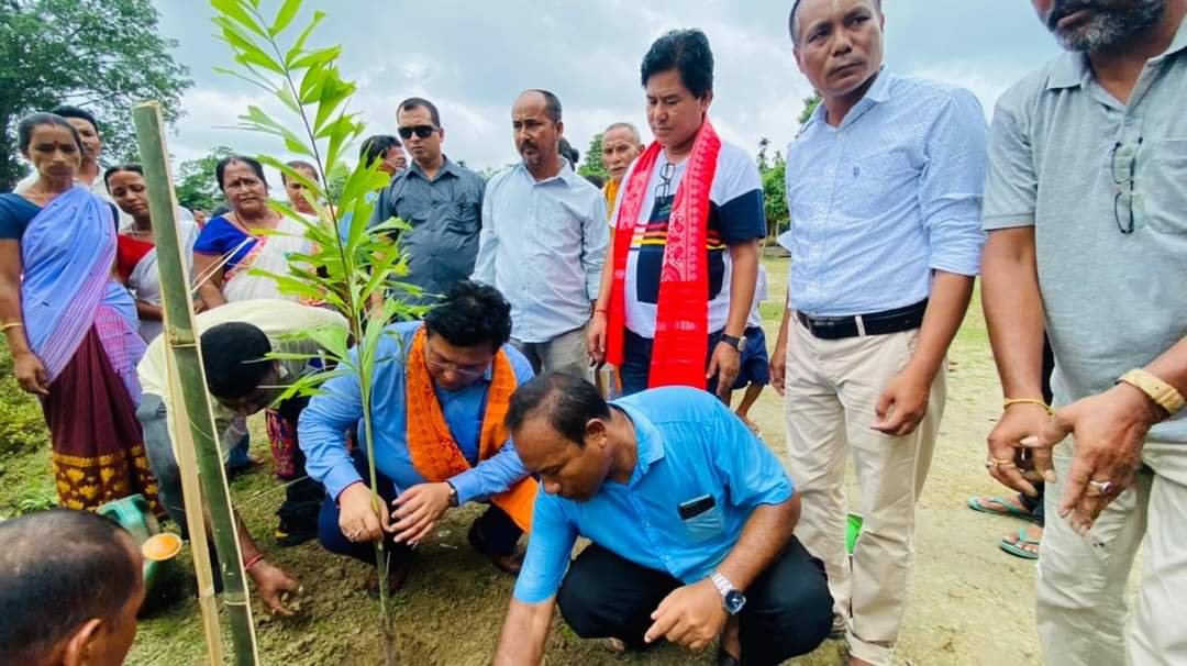 UPPL eyes to plant 10 lakh sapling in BTR