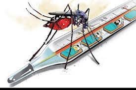 Dengue claims 4 Diphu residents, several hospitalised download (4)