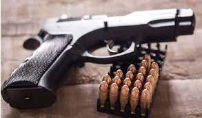 227 Criteria for issuing of gun licenses will