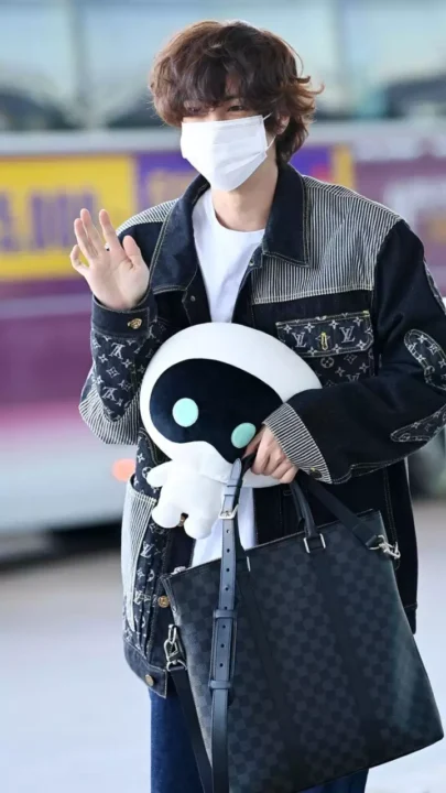 BTS's V praised for his sensible airport fashion with the bag that