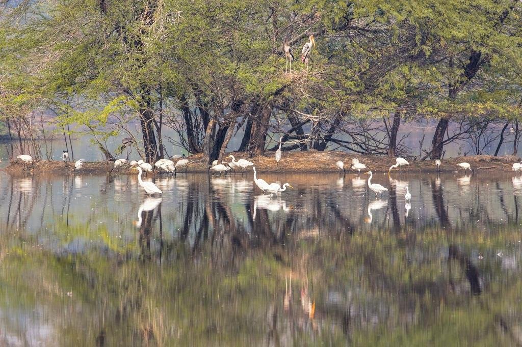 Amrit Dharohar’ scheme for wetlands