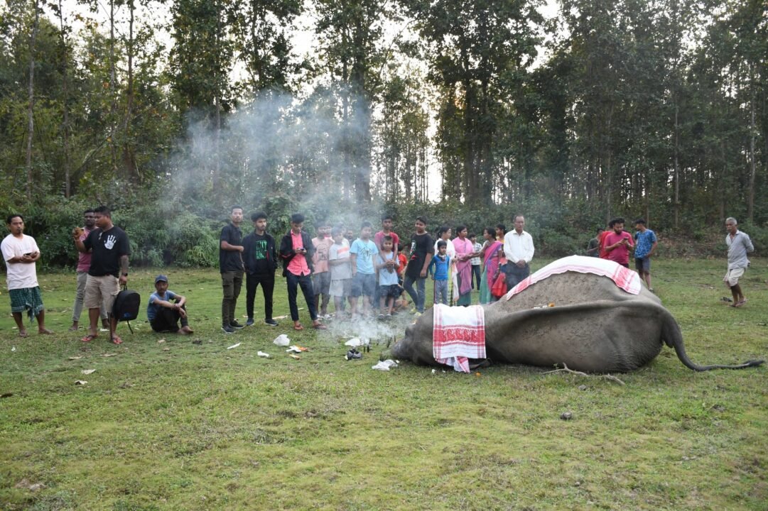 Local residents of Rajapara area rue death of wild tusker