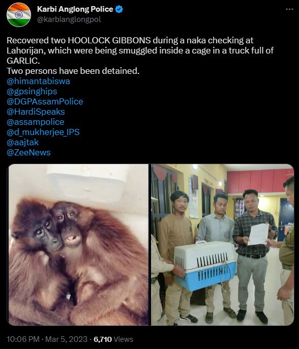 Karbi Anglong Police Rescues Two Gibbons From Illegal Smuggling