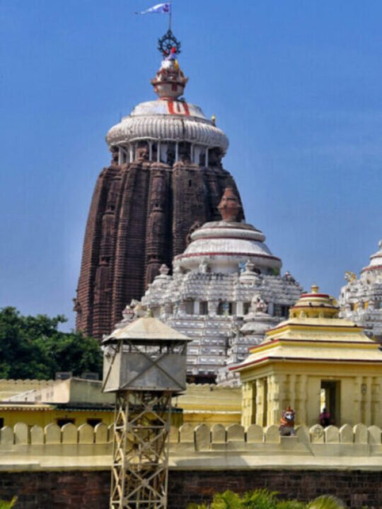 Amazing Facts About Shree Jagannatha Temple Puri - The Hills Times