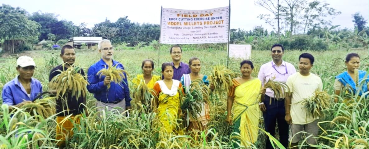 Millet Field Day Celebrated in Kaki Beltola, Hojai