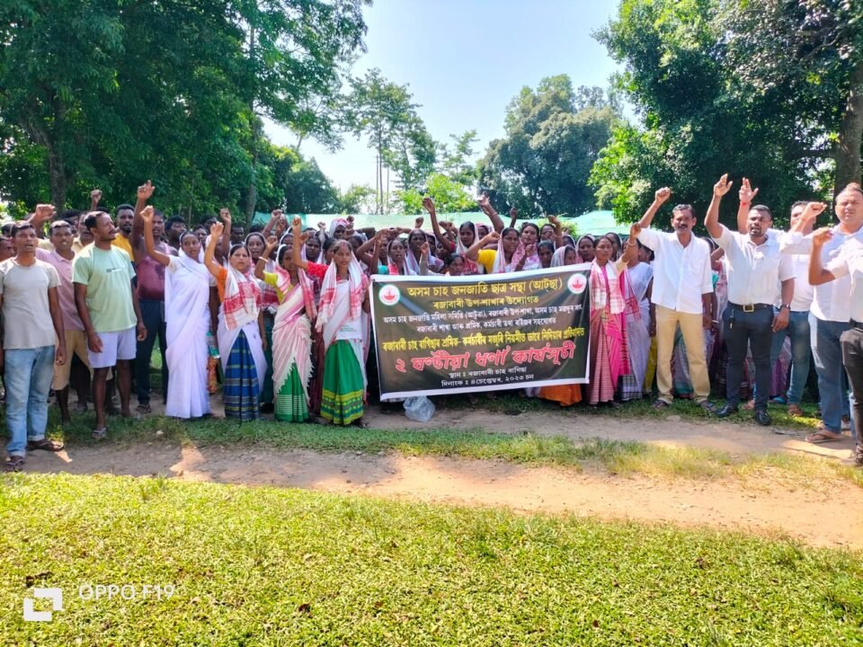 Protest held at Rajabari Tea Estate over delayed wages