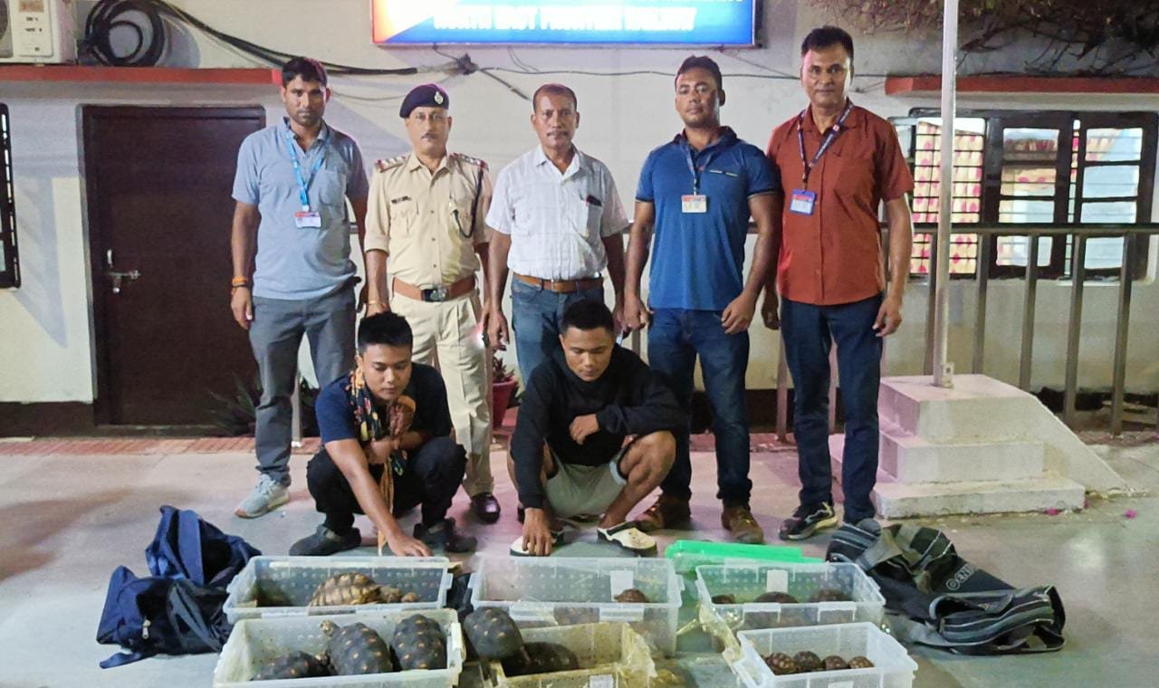 RPF rescues rare tortoises from illegal transport