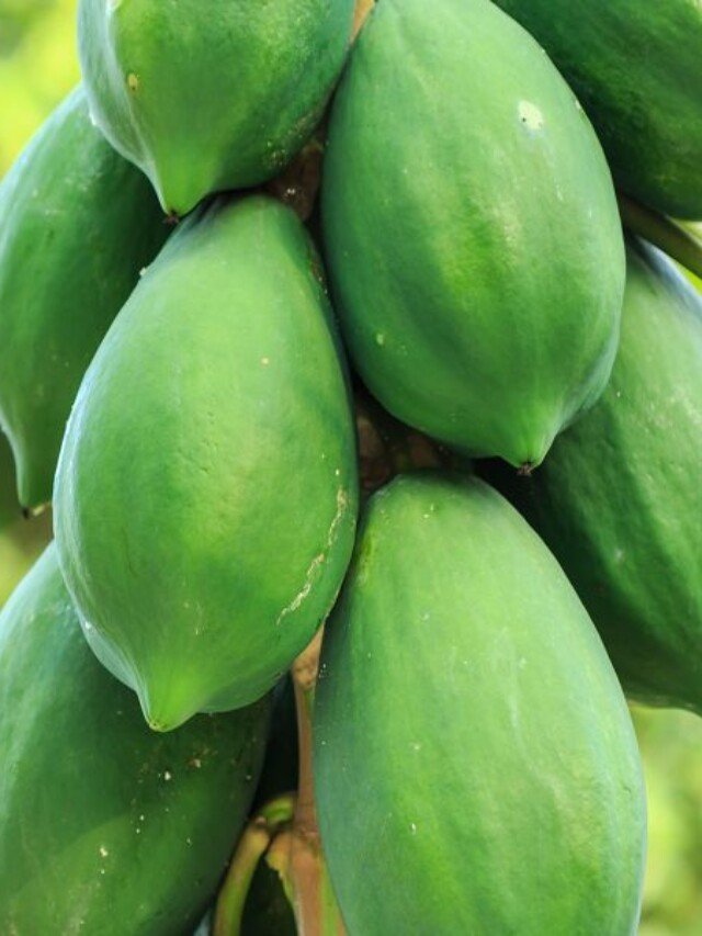 12 Benefits Of Eating Raw Or Green Papaya