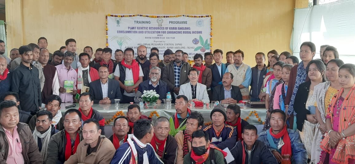 Training Program Aimed At Enhancing Rural Income Held In Diphu 216