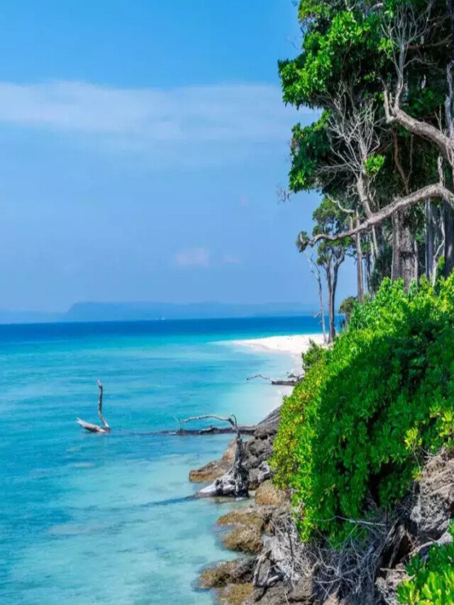 Things To Do In Andaman Nicobar Islands - The Hills Times