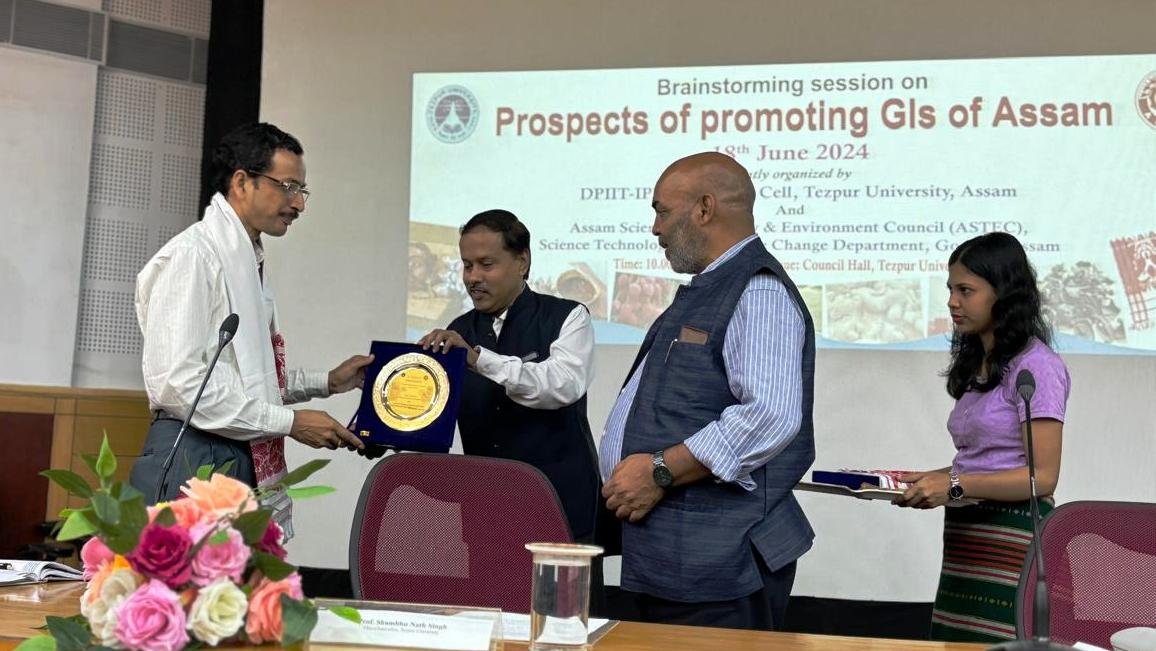 Tezpur University hosts seminar on promoting state’s GIs