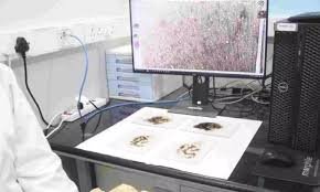 Prem Watsa contributes USD 5 million for brain research at IIT Madras download (13)