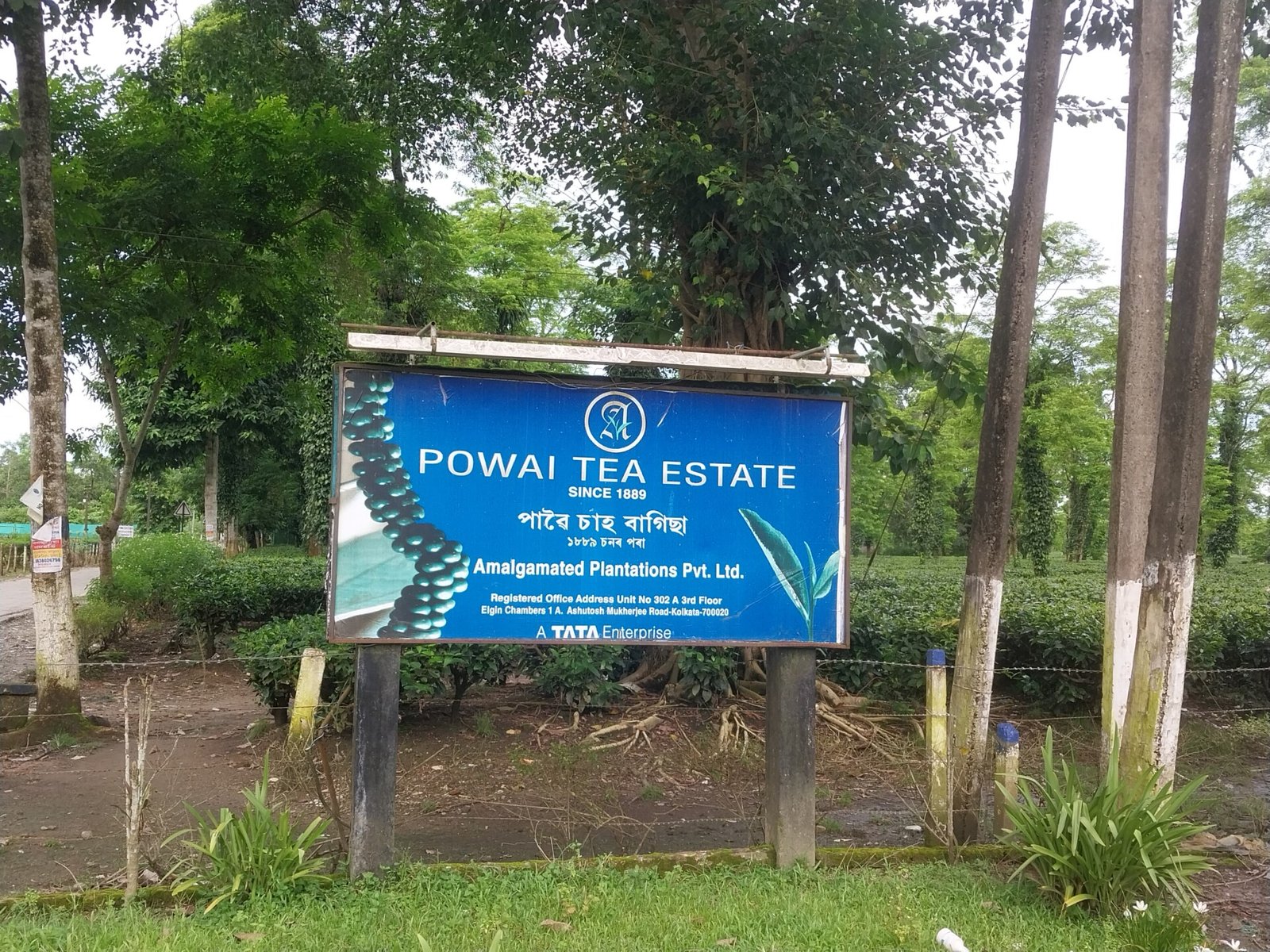 Tea workers of Powai Tea Estate allege major power bill scam