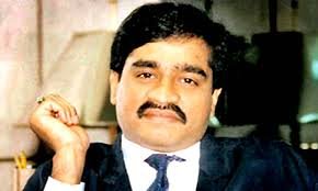 Dawood declared terrorist in individual capacity: Bombay HC download (31)