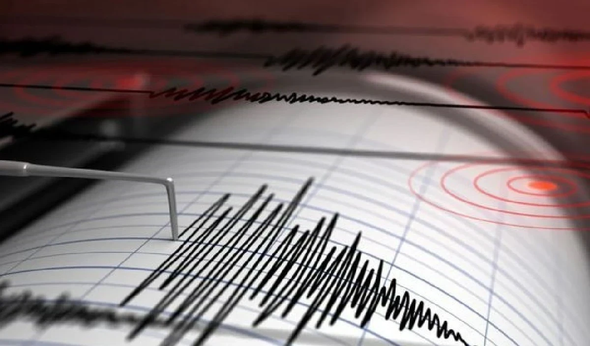 Northeast India Hit by 11 Earthquakes in January 2025, Highlighting Seismic Risk