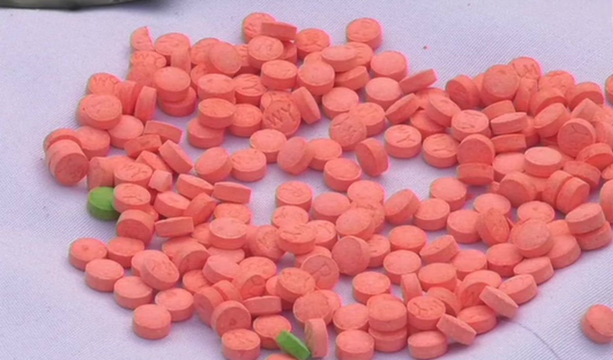 Assam Rifles confiscate Rs 52 crore worth of Yaba tablets in major Tripura drug bust WhatsApp Image 2024-09-29 at 9.53.05 PM