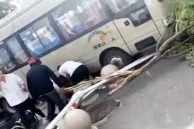 Bus crashes into students and parents in eastern China, killing 11 and injuring 13, police say download (3)