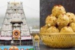 SIT begins probe into Tirupati laddu adulteration allegations Lead2