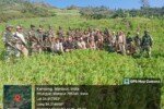 45 acres of illegal poppy cultivation destroyed; 2 arrested GefBA5eWQAA68f4