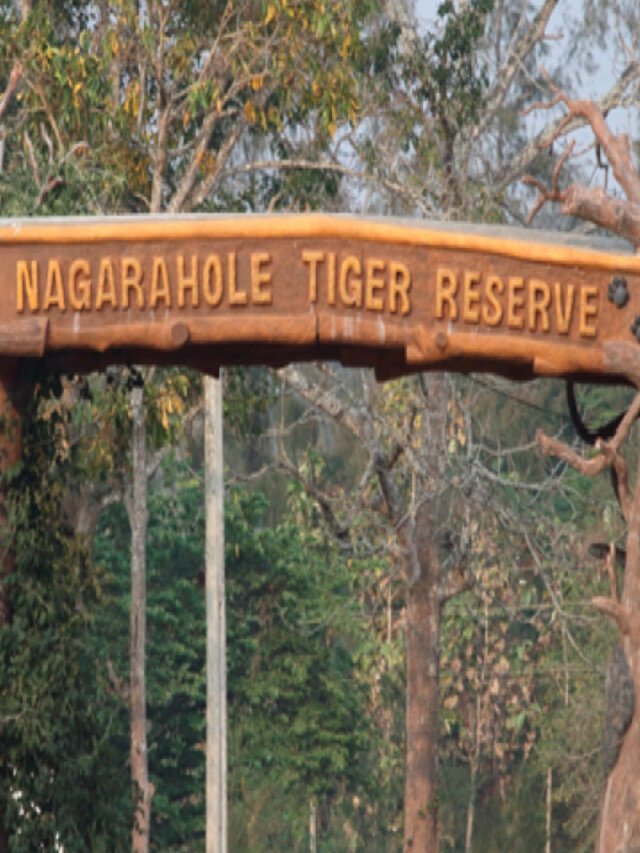 10 Iconic Species To See In Nagarhole National Park