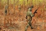 Naxalites killed in Bijapur belonged to Maoists’ strongest armed squad in Bastar deccanherald_2024-03_7987afbb-6da7-4eab-ab7c-4c1a0c75a71d_naxal_wb_pti_1213540_1682684933