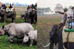 PM Modi’s visit leads to high Tourist footfall in Kaziranga: Assam CM Himanta Biswa Sarma lead