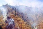 Nagaland: Fresh Fire Erupts at Mt. Shüho Despite Rainfall, Volunteers Battle to Contain Blaze Forest fire