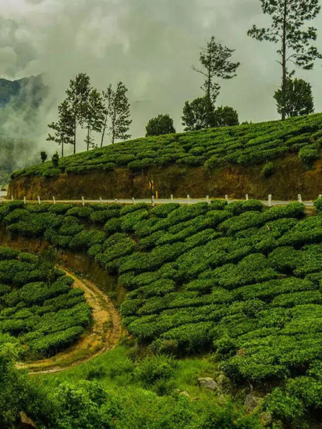 7 Offbeat Places To Visit In Darjeeling