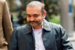 17nirav-modi