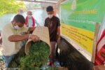 KVK Karbi Anglong conducts demonstration on compost production from Parthenium