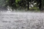 Rainfall to revive