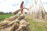 Unfair trade practices by Bangla suppliers forced India to restrict
