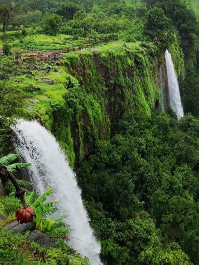 Top 10 Places In India With The Highest Rainfall