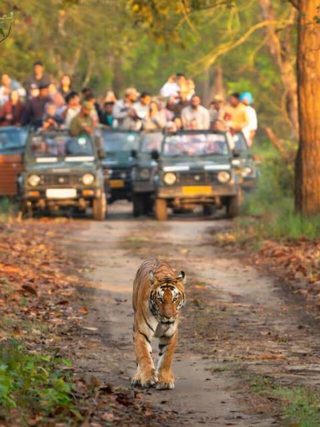10 National Parks In India That Are Perfect To Visit During The Monsoon