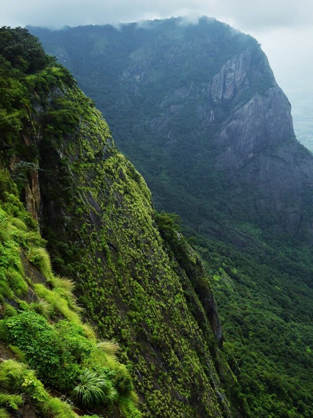 10 Best Monsoon Destinations In South India For A Rain-Soaked Getaway