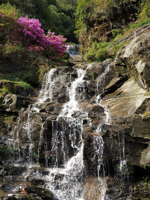 Top 10 Most Beautiful Places to Visit in Darjeeling