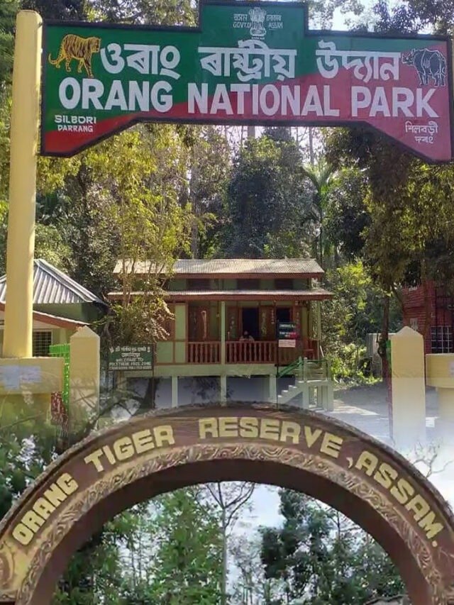 8 Compelling Reasons To Visit Orang National Park