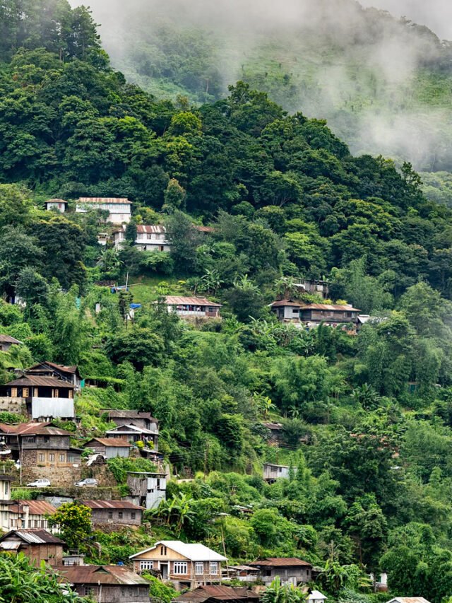 8 Unmissable Eco-Tourism Destinations in India