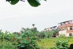 Demand for urgent eviction gets louder Oplus_0