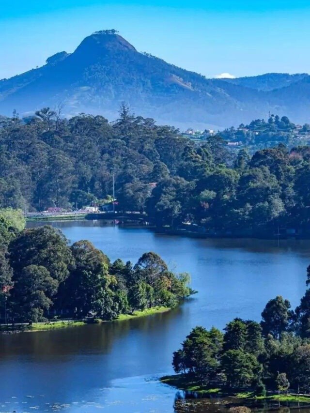7 Destinations To  Planning A South India Getaway With Family