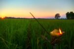Warm Wishes Pour in from Leaders on Assam’s Kati Bihu Celebration WhatsApp Image 2025-10-18 at 1.49.40 PM