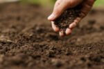 Most Indian soils low in nitrogen, organic carbon: Study iuiu
