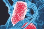 1 in 9 persons tested found positive for infectious disease in ICMR study Anchor