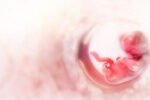 Indian scientists discover ‘genetic switch’ inside womb that leads to pregnancy New Project(8)