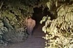 Wild elephants raid agricultural fields, children afraid to go to school New Project(9)