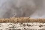 Suspected Arson Damages Molai Kathoni 2.0, Raising Alarm Over Brahmaputra Conservation Efforts vcbv